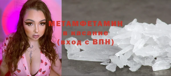 мет Алексин