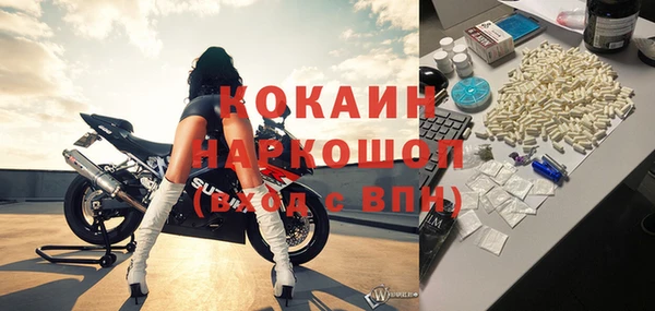 мет Алексин