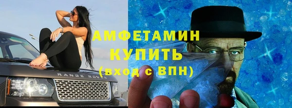 мет Алексин
