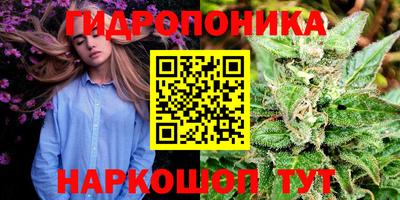 а пвп мука Моздок