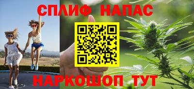 СК Можга