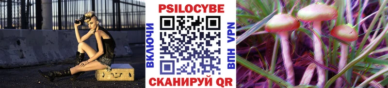 Псилоцибиновые грибы Cubensis  Воткинск 