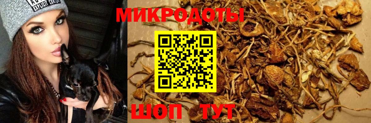 Псилоцибиновые грибы Psilocybe  Вход с VPN  Воткинск  Псилоцибиновые грибы MAGIC MUSHROOMS 